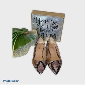 Call It Spring Snake Print Pointed Toe Flats - Brown & Black